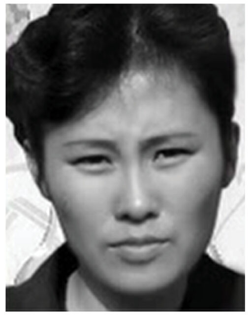 Cha Deoksun martyr